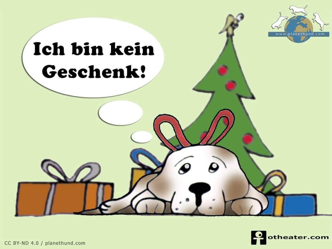 bilder/weihnachten%20vermittlung.jpg